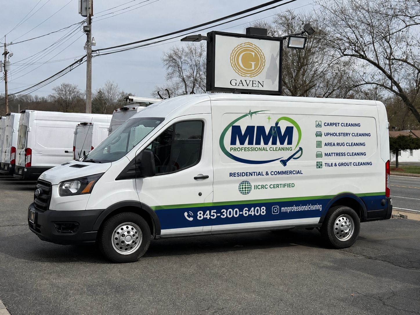 Professional cleaning team